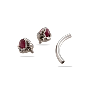 Stainless steel dragon claw curved barbell piercing with red cat eye stone detailing