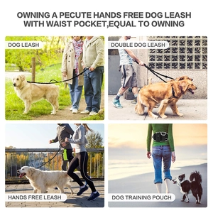 Hands-free dog leash set with waist bag for running and walking two dogs at once