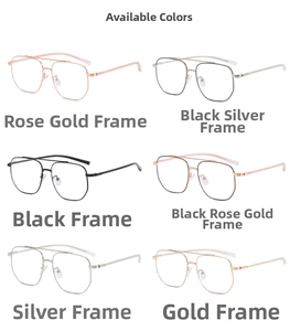 Detailed grid of six dual-bridge metal spectacle frames in various metallic colors
