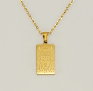 Macro shot of 18K gold plated stainless steel tarot necklace with a lion pendant