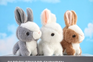 Detailed view of gray white and brown plush bunny keychains on a sky background