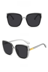 Front and side view of square sunglasses with transparent gray frames and gold details