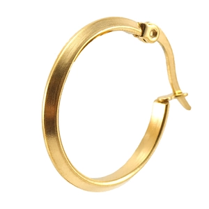 Minimalist 18K gold stainless steel hoop earrings with brushed matte finish and hinge