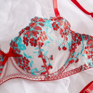 Close-up of intricate floral embroidery and sheer mesh lace on a French style bra