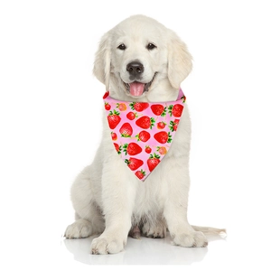 Pink dog bandana with strawberry print on golden retriever puppy for summer pet accessory
