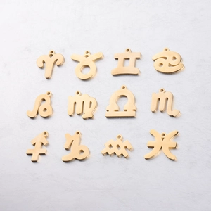 Detailed macro view of 12 gold stainless steel zodiac charms on white marble background