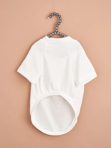 Close-up of white breathable mesh pet T-shirt with pineapple print on a pearl hanger