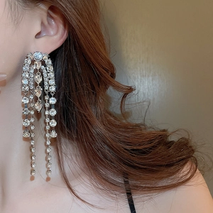 Macro detail of long silver fringe tassel earrings with sparkling crystals on model