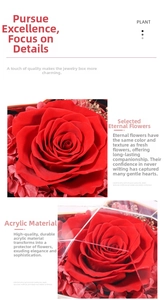 Macro view of preserved red rose texture inside a clear acrylic heart gift box