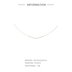 Detaillierte Spezifikationen der S925 Sterling Silber minimalistischen Bar-Halskette
