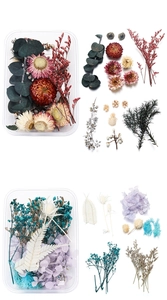 Detail of DIY floral kit with dried hydrangea, eucalyptus leaves and baby's breath