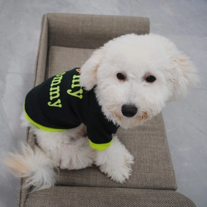 Detail of warm fleece dog hoodie with my mommy print and neon green ribbing