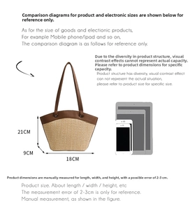 Size guide for straw tote bag showing 21x18x9cm dimensions with device comparison