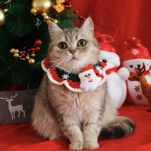 Détail d'un collier de Noël tricoté pour animaux avec figurine de Père Noël sur un chat