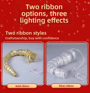 Detail of LED Christmas ribbon lights showing the battery control box and 3 lighting modes