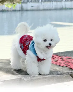 Detail view of New Chinese style pet vest with chenille fabric and warm plush lining