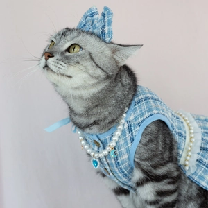 Three-piece light blue tweed pet dress set with matching bow and pearl necklace for cats