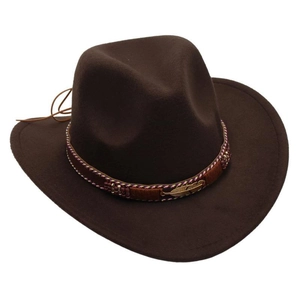 Detail of dark brown felt cowboy hat with ethnic braided band and golden feather charm
