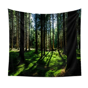 Bohemian forest tapestry with sunlight through trees for cozy home wall decoration