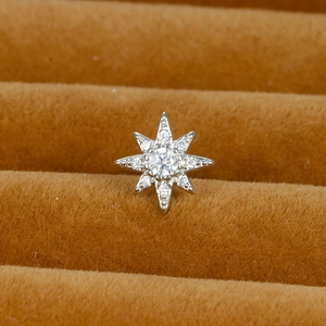 Octagram stainless steel stud earring featuring a central round zircon and pavé crystals