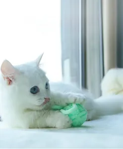 Close-up of a blue-eyed white cat playing with a mint green woven automatic toy ball
