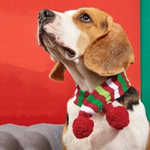 Close-up of red and green striped knitted dog scarf with festive pompoms for Christmas