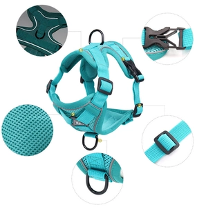 Detail view of breathable mesh pet harness with reinforced nylon straps and secure metal D-rings