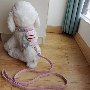 Close-up of a pink corduroy dog harness with bee decor and a matching leash on a small dog