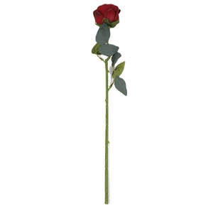 Realistic single red burnt rose with green leaves for home wedding photography decor