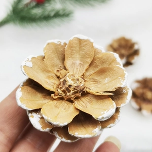 Close-up of a natural flower-shaped pine cone with snow-effect white frosted edges