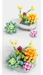 Detailed top and side view of miniature succulent brick set with grey building pot