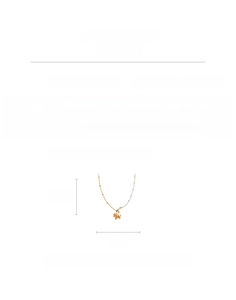 Detail view of 18k gold plated necklace with pony pendant and size measurements
