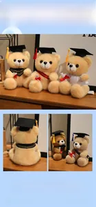 Detailed views of graduation teddy bears in various colors with gowns and diplomas