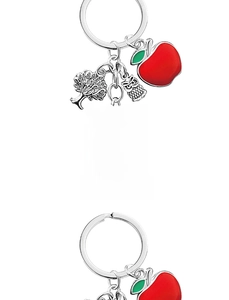 Detail view of teacher gift keychain with apple, owl and engraved thank you message