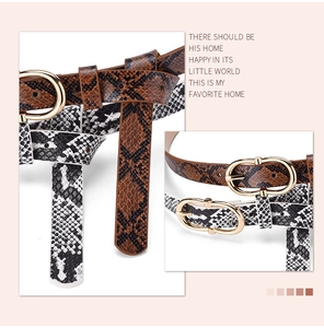 Detail of faux snake skin belts in brown and black with gold oval metal buckles