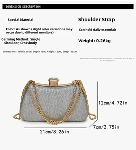 Silver sequin clutch bag detail showing dimensions 21x12x7cm and golden chain strap