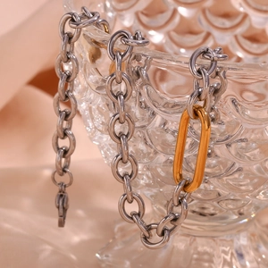 Polished silver chain with a golden oval connector link on a textured glass cup
