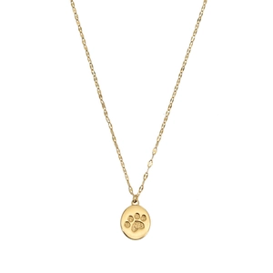 Elegant gold titanium steel necklace with a minimalist oval cat paw print pendant charm