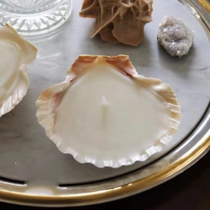 Natural seashell scented candle with white wax on elegant marble tray decoration