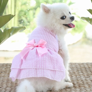 Pink striped pet dress with bow detail on a white Pomeranian dog in outdoor garden