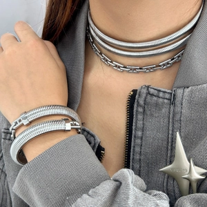 Detail shot of silver double-layer snake chain necklace and H-link choker set