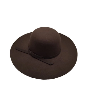 Brown wide brim wool fedora hat with elegant ribbon bow for women's winter fashion