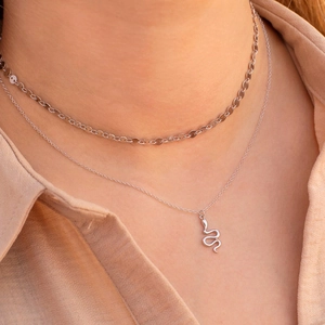 Layered S925 silver necklace featuring snake pendant and flat choker chain on model