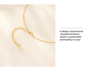 Detail of 925 sterling silver gold necklace featuring extension chain and S925 hallmark