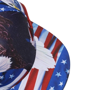 Detailopname van adelaarsprint en Amerikaanse vlag op een platte baseballpet