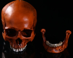 Detailed view of Viking skull beer mug resin exterior with realistic bone texture
