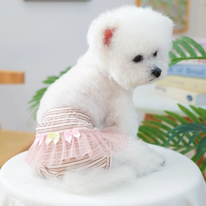 Detailed view of pink striped dog physiological pants with lace trim and bow on small dog