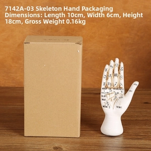 Palmistry resin hand model with astrological symbols and packaging, size 10x6x18cm