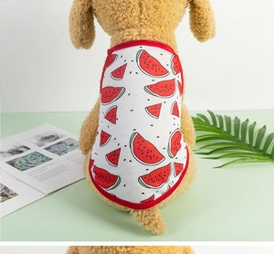 Macro shot of breathable mesh summer pet vest with vibrant watermelon print on toy dog