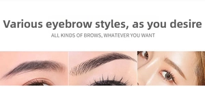 Detailed comparison of various eyebrow shapes showing different makeup finish effects